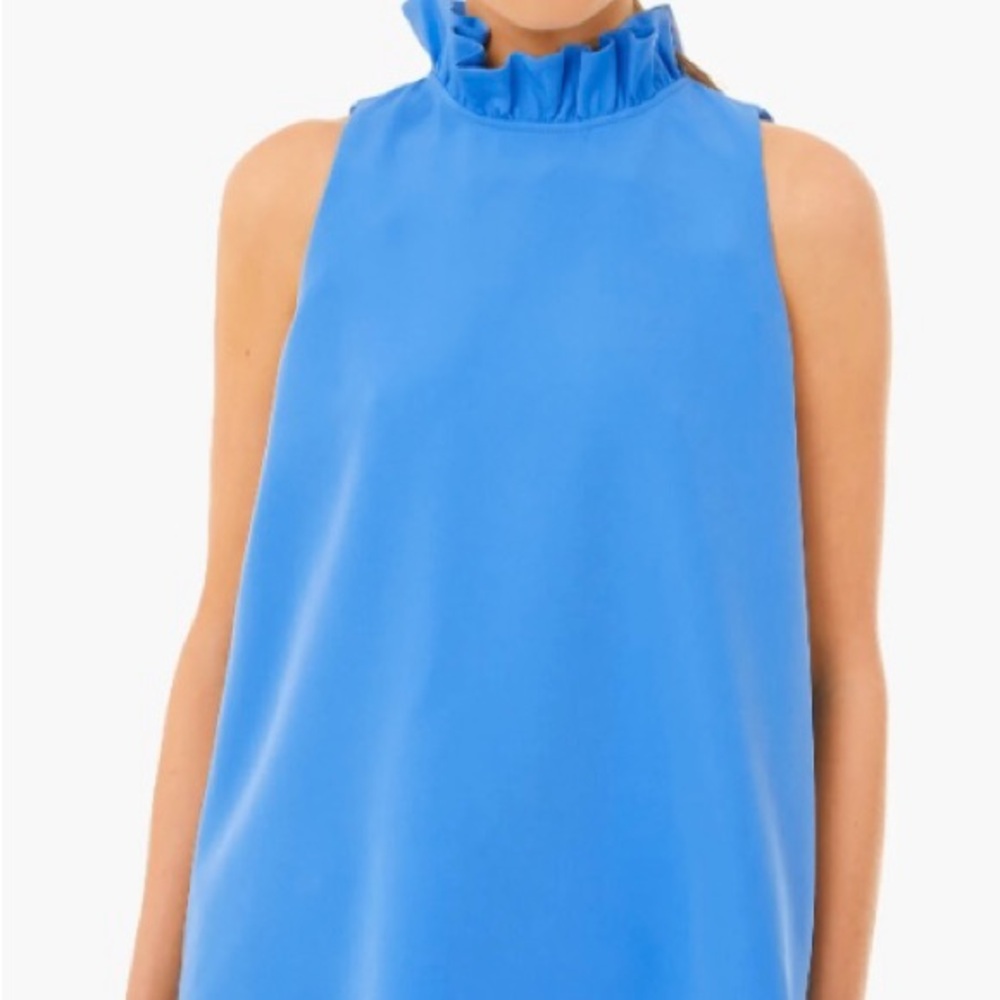 Tuckernuck Blue Mason Top Sleeveless